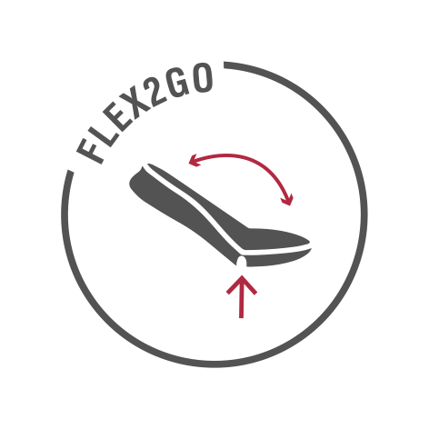 Flex2Go (afbeelding)