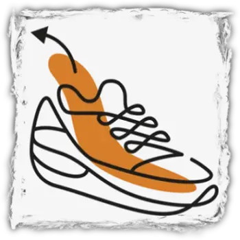 Logo Optifit (afbeelding)