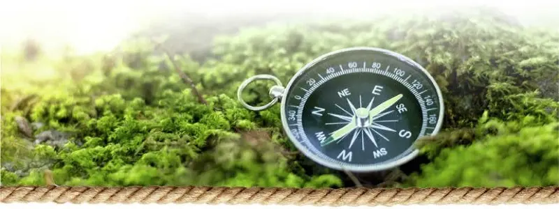 Interbelt Afbeelding Logo Greenbelts