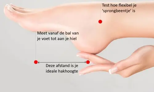Ideale hakhoogte Ideale hakhoogte (vrouwen)