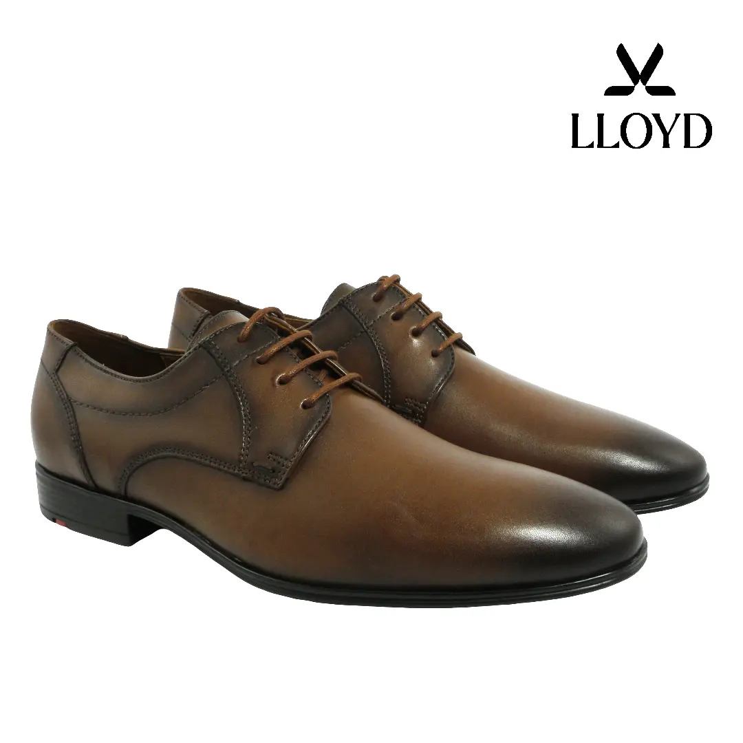 LLOYD herenschoen model 25-505-03 in cognac, klassieke leren derby met veters en slanke leest – geschikt voor zakelijk en formeel gebruik.